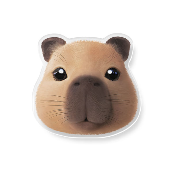 Capybara the Capy Face Acrylic Tok