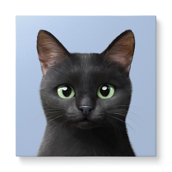 Zoro the Black Cat Art Canvas