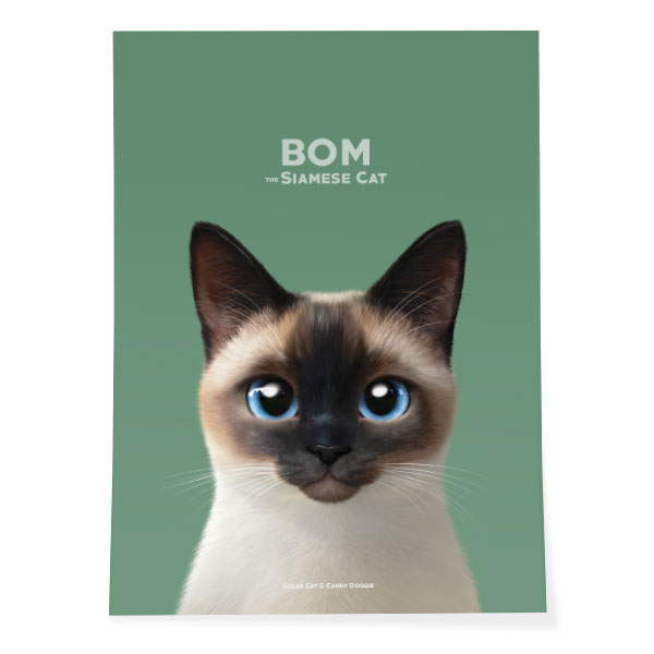 Bom the Siamese Art Poster