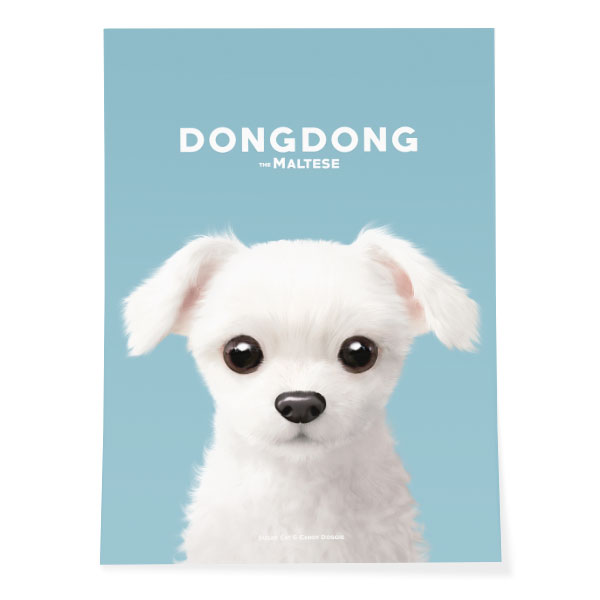 DongDong Art Poster