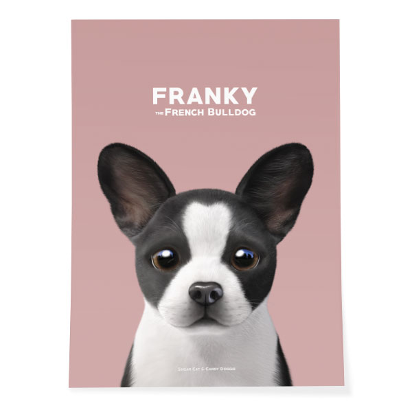 Franky the French Bulldog Art Poster