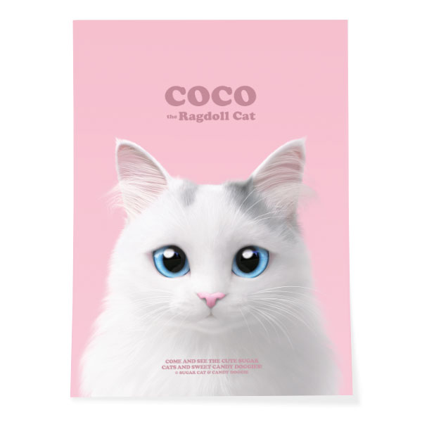 Coco the Ragdoll Retro Art Poster