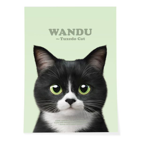 Wandu Retro Art Poster