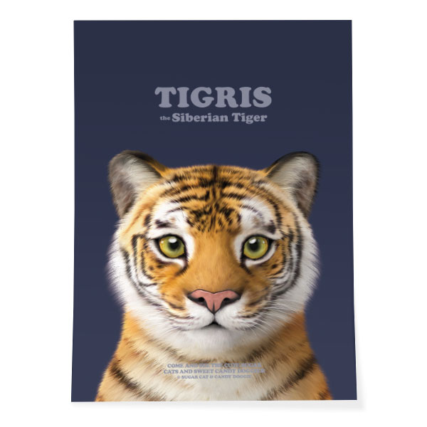 Tigris the Siberian Tiger Retro Art Poster