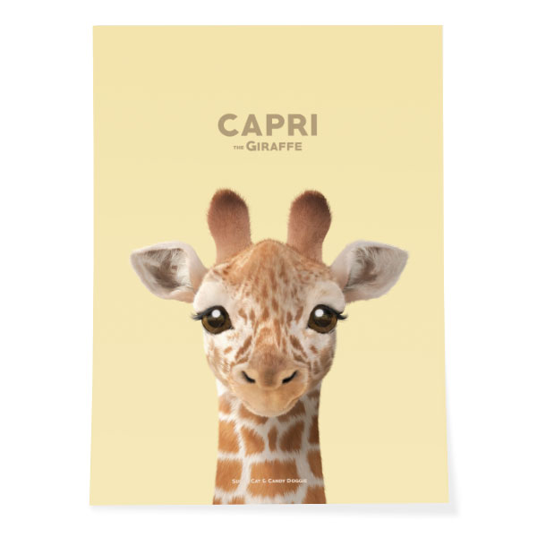 Capri the Giraffe Art Poster
