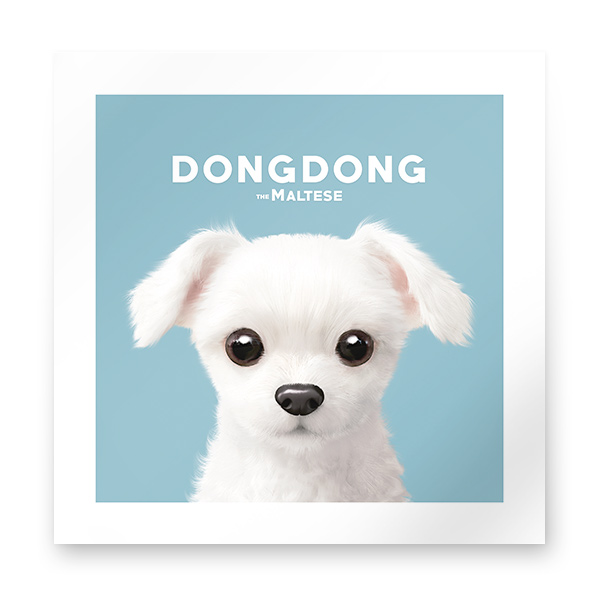 DongDong Art Print