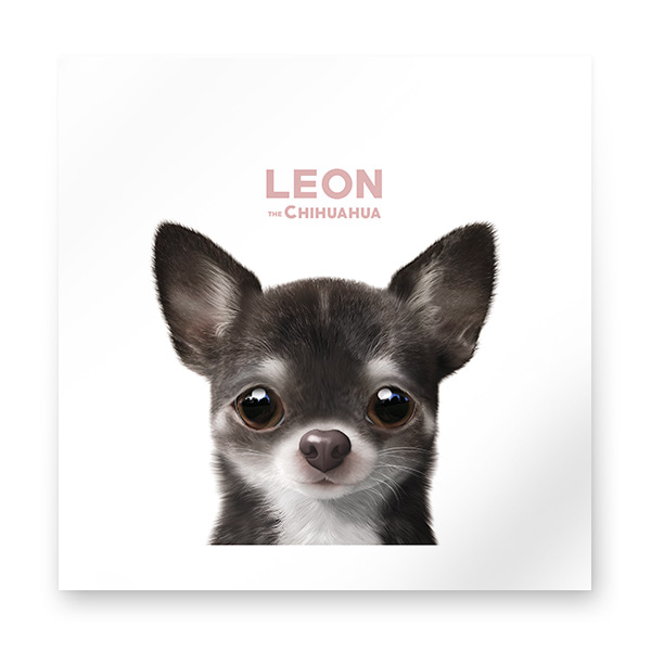 Leon the Chihuahua Art Print