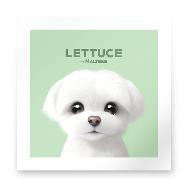Lettuce the Meltese Art Print