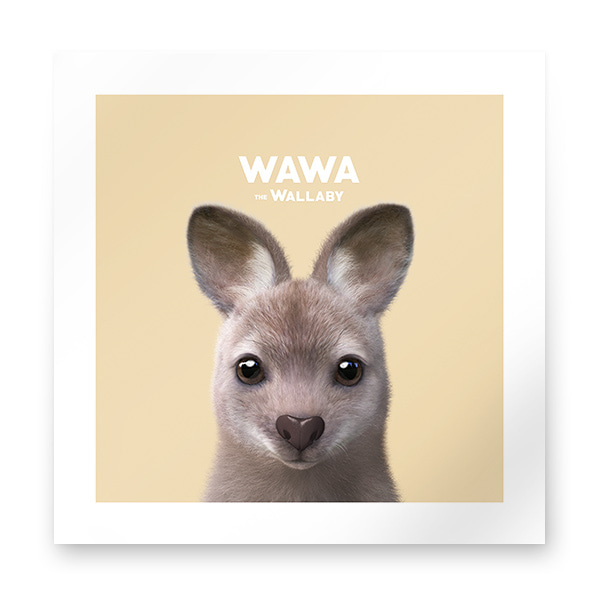 Wawa the Wallaby Art Print