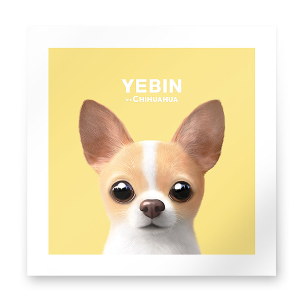 Yebin the Chihuahua Art Print