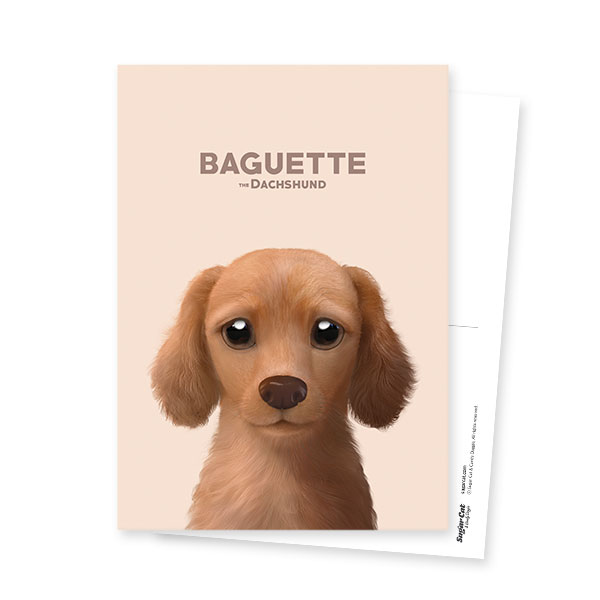 Baguette the Dachshund Postcard