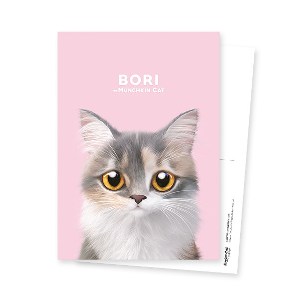 Bori the Munchkin Cat Postcard