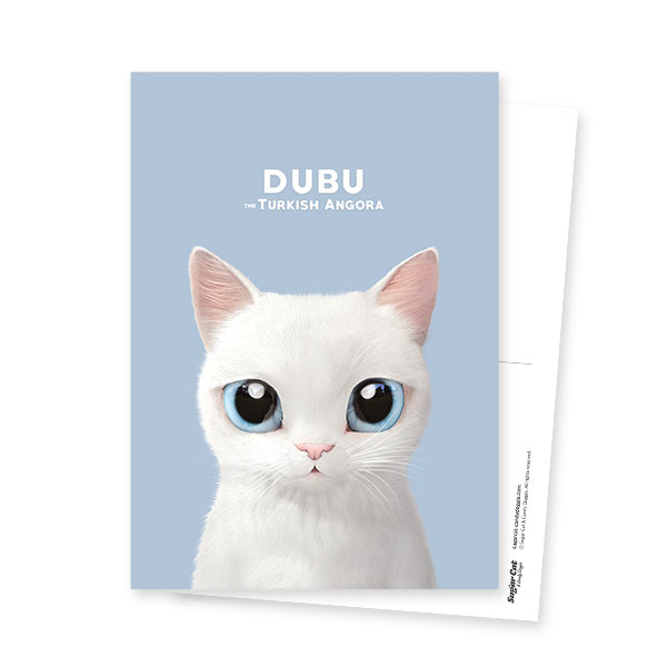 Dubu Postcard