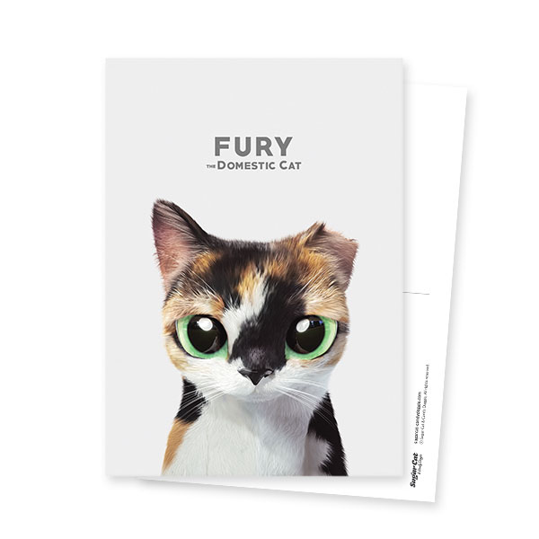 Fury the Stray cat Postcard