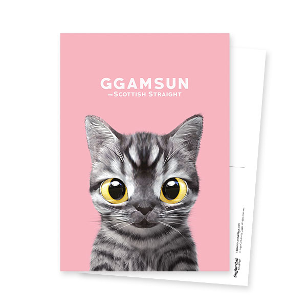 Ggamsun Postcard