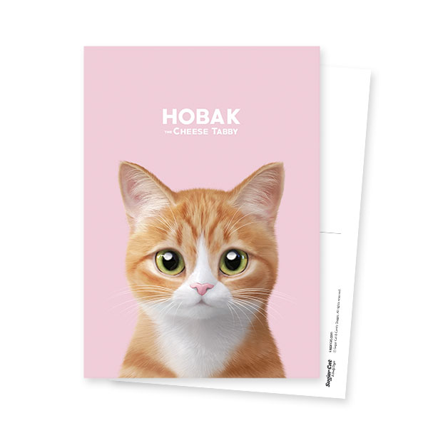 Hobak the Cheese Tabby Postcard