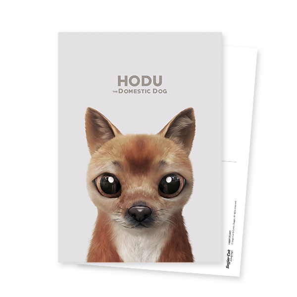 Hodu Postcard