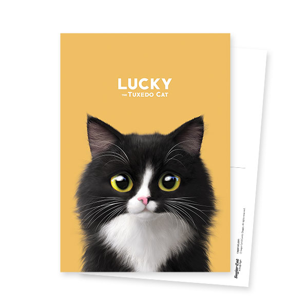 Lucky Postcard