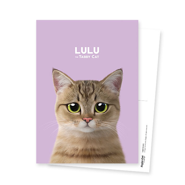 Lulu the Tabby cat Postcard