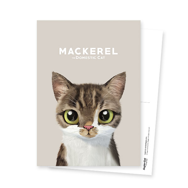 Mackerel Postcard