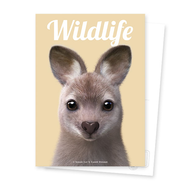 Wawa the Wallaby Magazine Postcard
