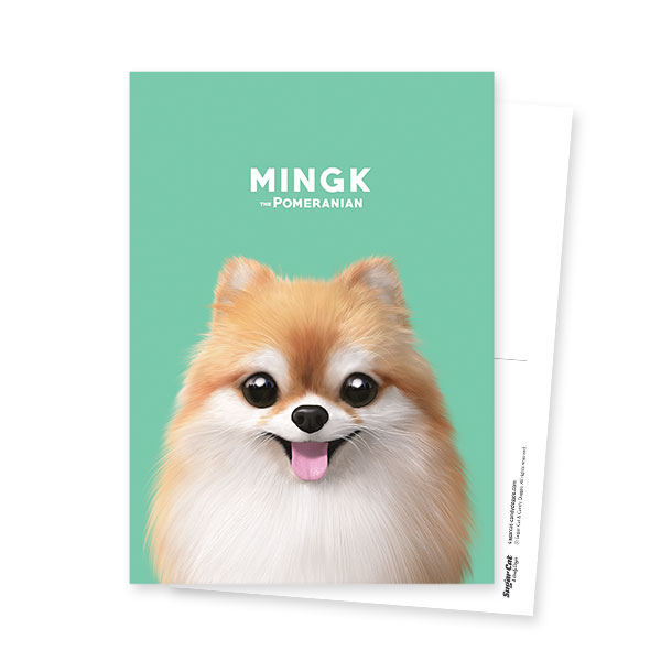 Mingk the Pomeranian Postcard