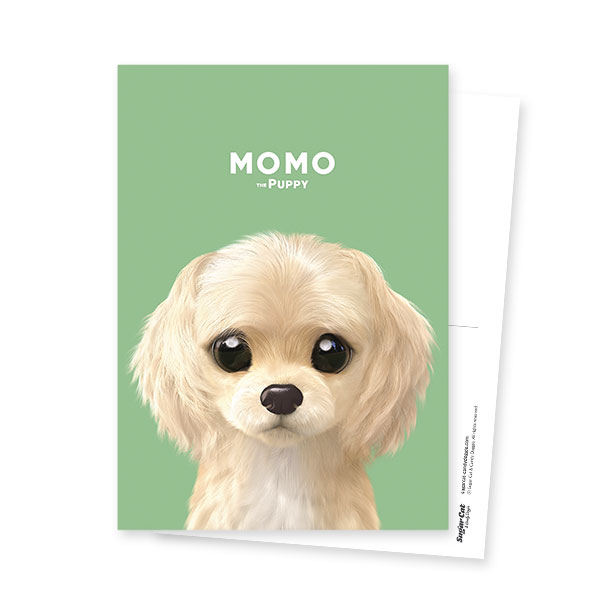 Momo the Puppy Postcard