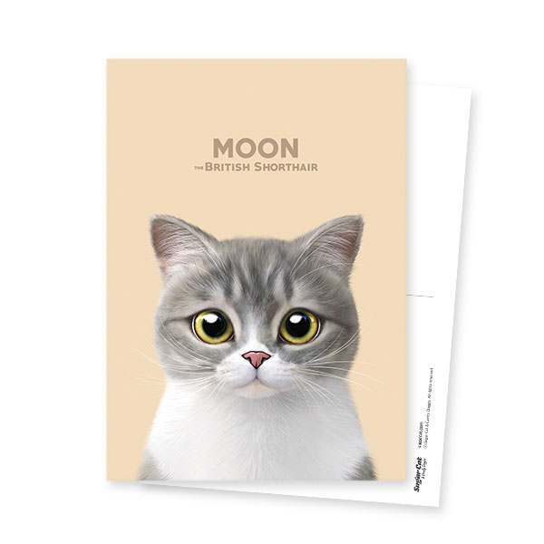 Moon the British Cat Postcard