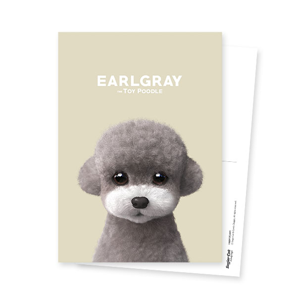 Earlgray the Poodle Postcard