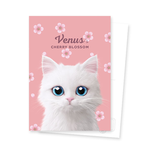 Venus&#039;s Cherry Blossom Postcard
