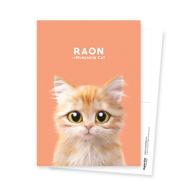 Raon the Kitten Postcard