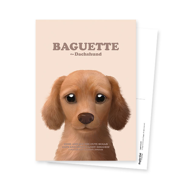 Baguette the Dachshund Retro Postcard