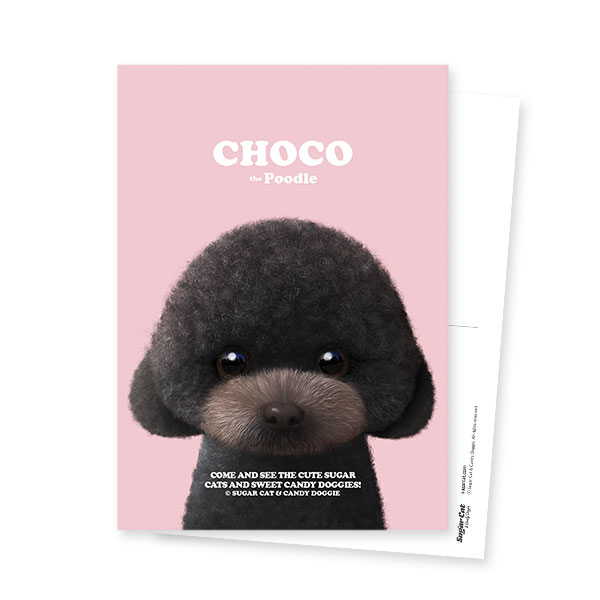 Choco the Black Poodle Retro Postcard