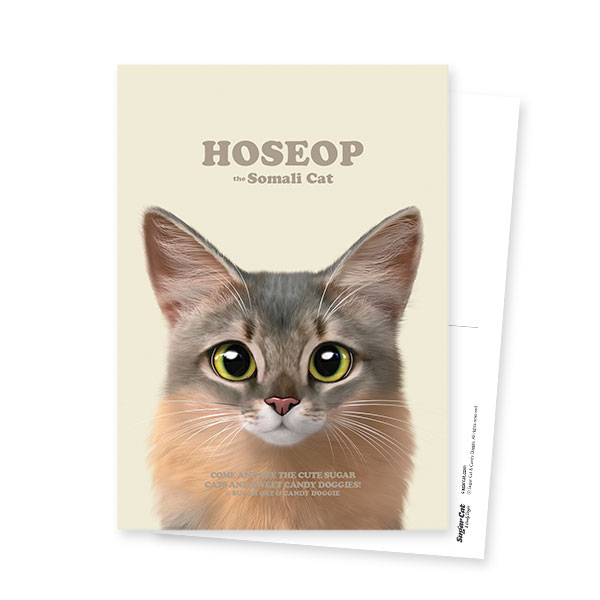 Hoseop Retro Postcard