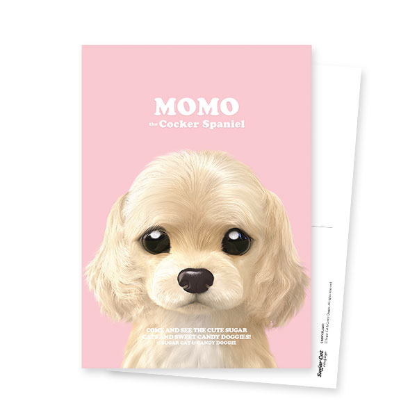 Momo the Cocker Spaniel Retro Postcard