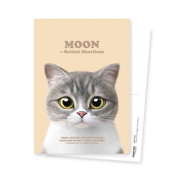 Moon the British Cat Retro Postcard
