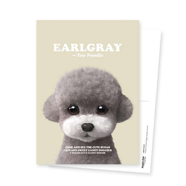 Earlgray the Poodle Retro Postcard