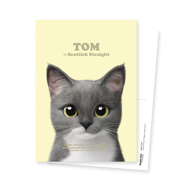 Tom Retro Postcard