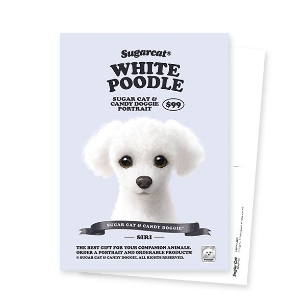 Siri the White Poodle New Retro Postcard