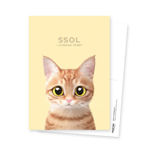 Ssol Postcard