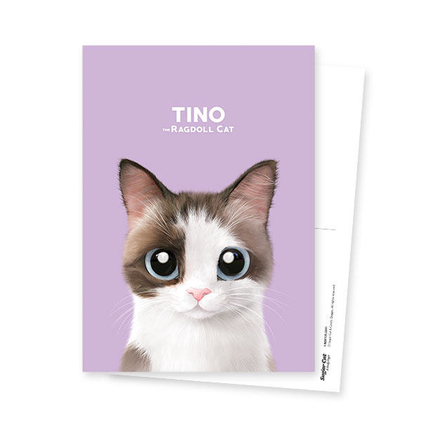 Tino Postcard