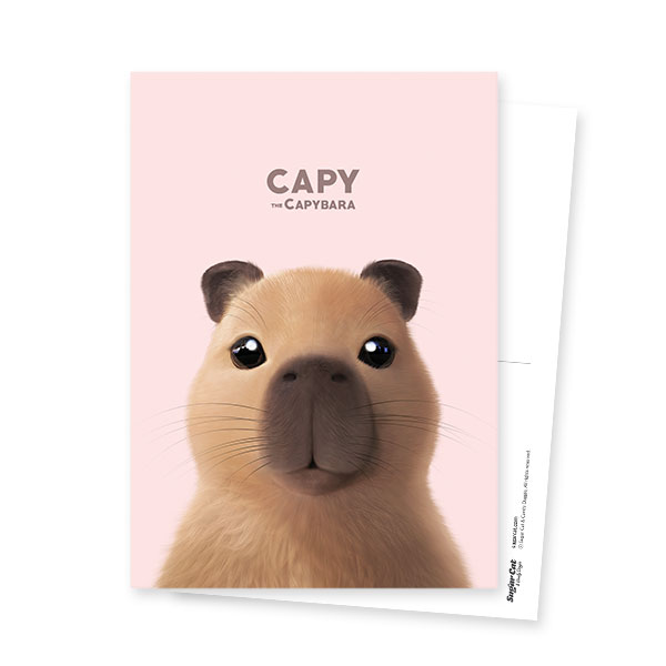 Capybara the Capy Postcard