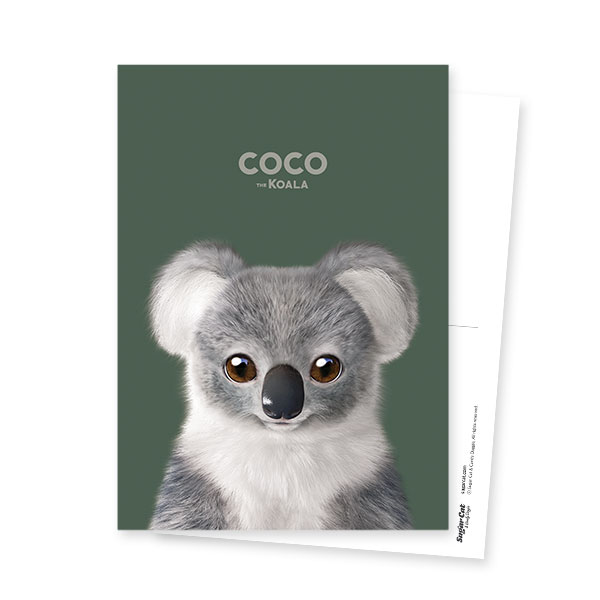 Coco the Koala Postcard