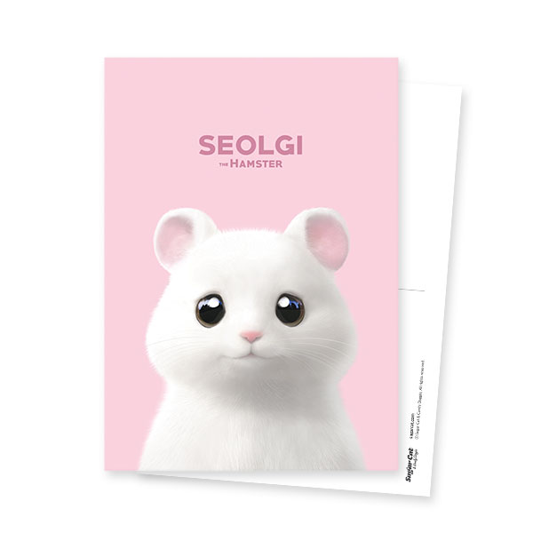 Seolgi the Hamster Postcard