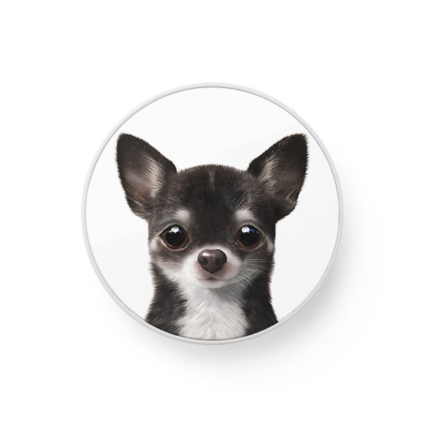 Leon the Chihuahua Smart Tok