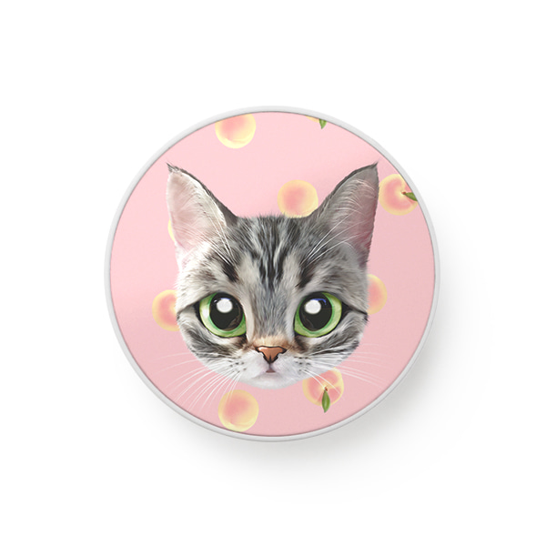 Momo the American shorthair cat’s Peach Face Smart Tok
