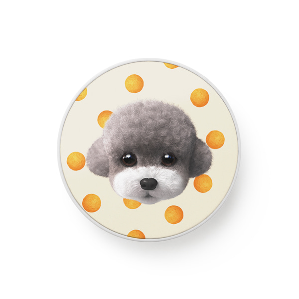 Earlgray the Poodle&#039;s Cheese Ball Face Smart Tok