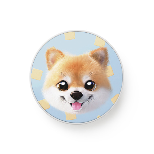 Tan the Pomeranian’s Biscuit Face Smart Tok