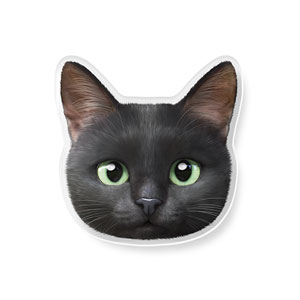 Zoro the Black Cat Face Acrylic Tok