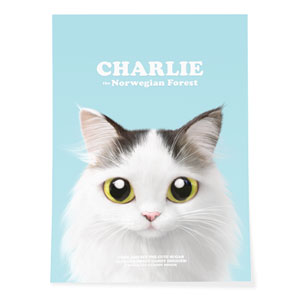 Charlie Retro Art Poster